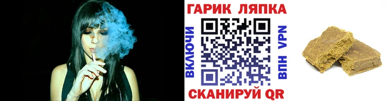 ГАШ ice o lator  Купить где  Богородицк 