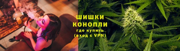 МДПВ Инсар