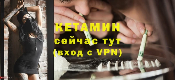 крисы Инта