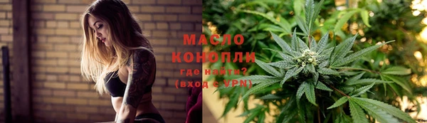 МДПВ Инсар
