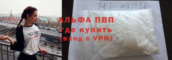 крисы Инта