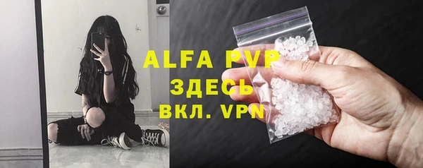 молекула духа Каменногорск