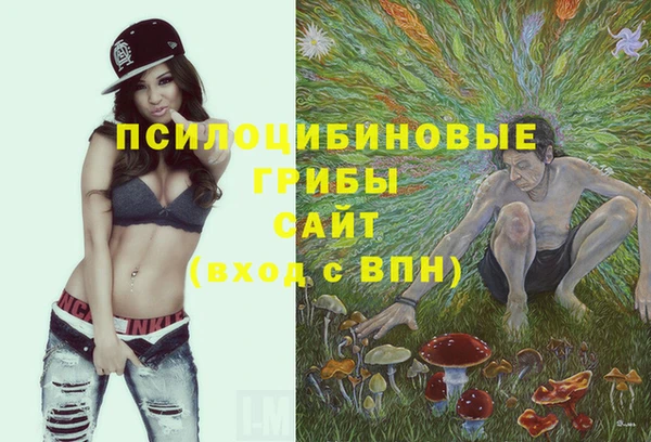 молекула духа Каменногорск