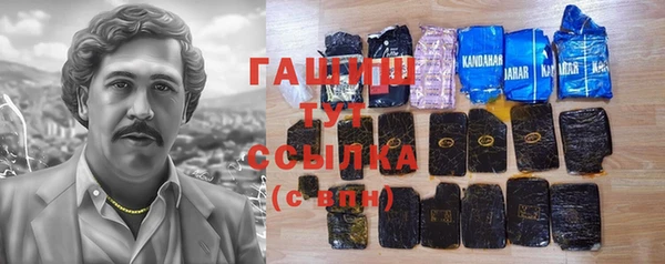 МДПВ Инсар