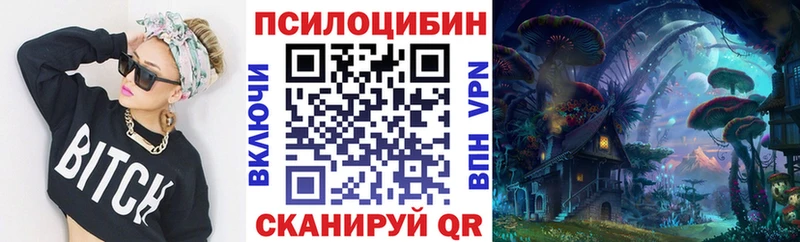 Псилоцибиновые грибы мицелий  Купить закладки  Богородицк 